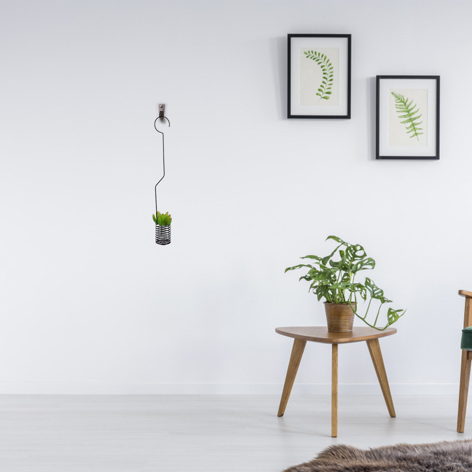 Air Plant Tillandsia - 1Pcs Artistic Plant Hook Tillandsia Hanging