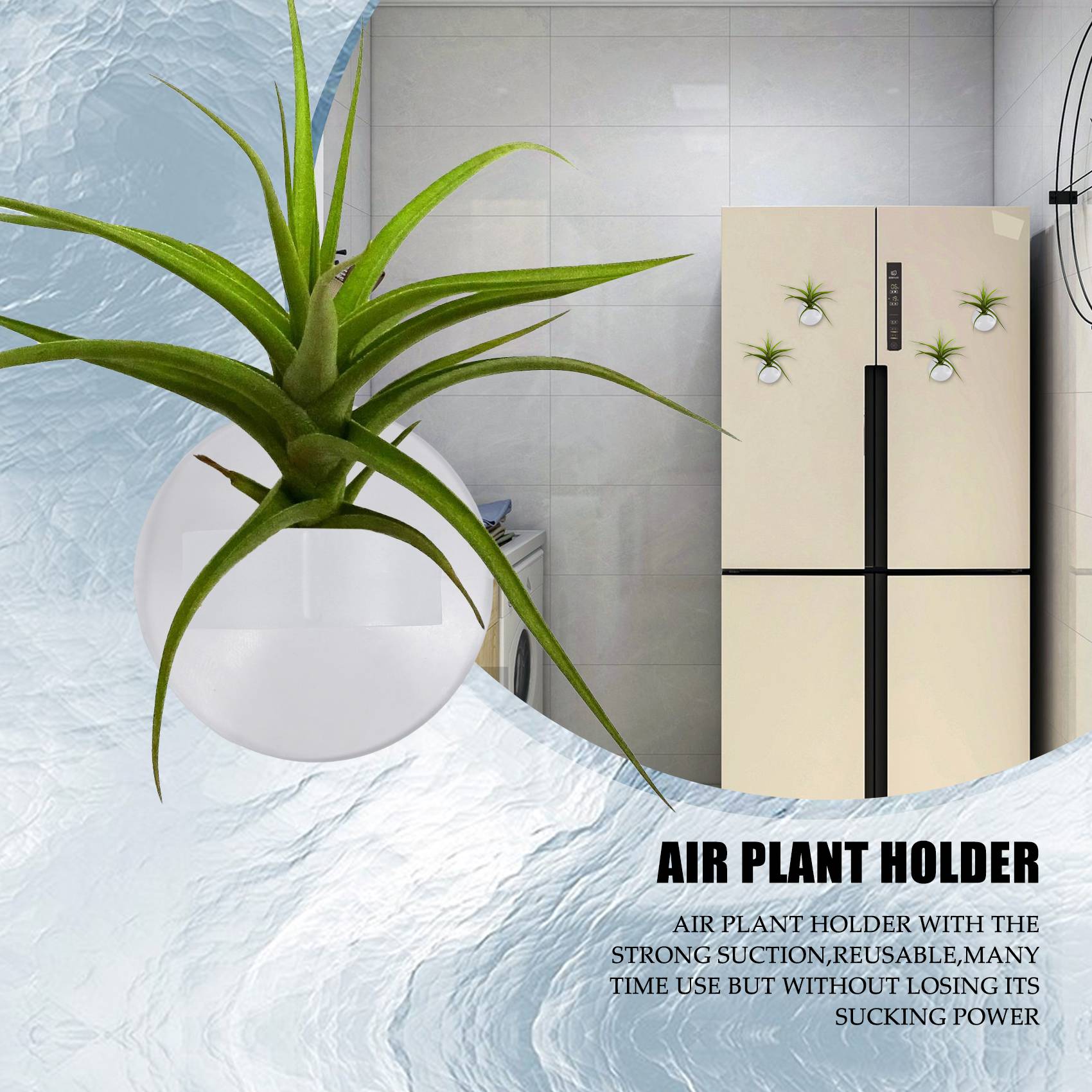 Air Plant Tillandsia - AC76-20 Pcs Air Plant Holder, Plant