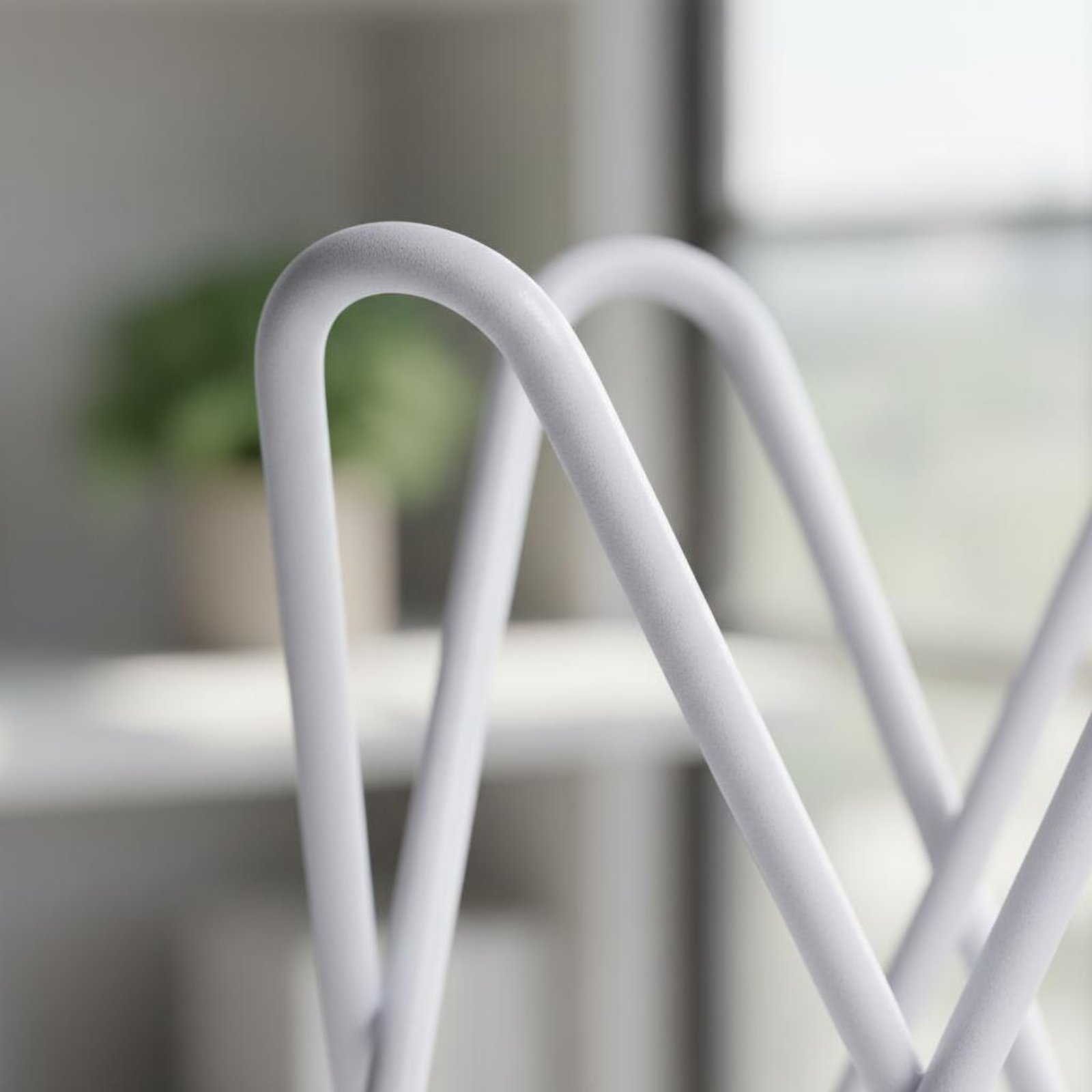 Air Plant Tillandsia - Air Plant Stand Minimalist Design Air