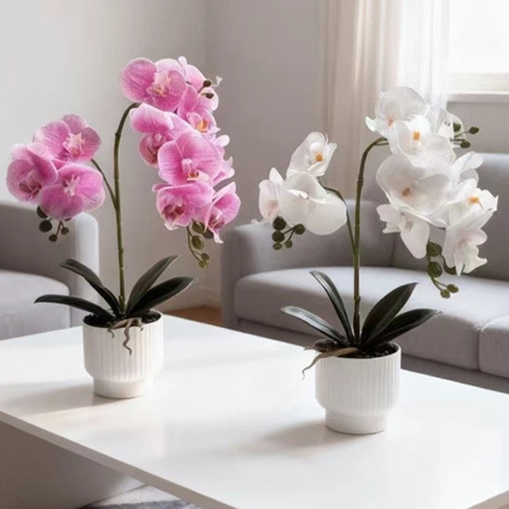 Multi-Bloom Simulated Butterfl - Orchid Phalaenopsis ulasan dan harga