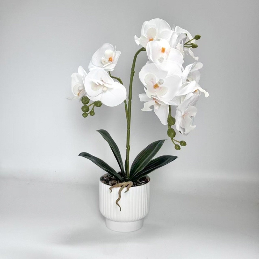 Multi-Bloom Simulated Butterfl - Orchid Phalaenopsis ulasan dan harga