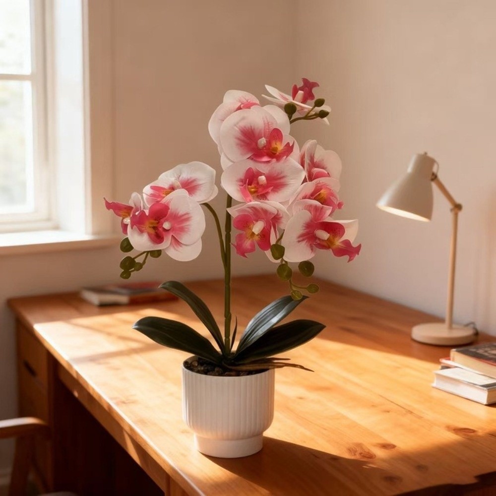 Multi-Bloom Simulated Butterfl - Orchid Phalaenopsis ulasan dan harga