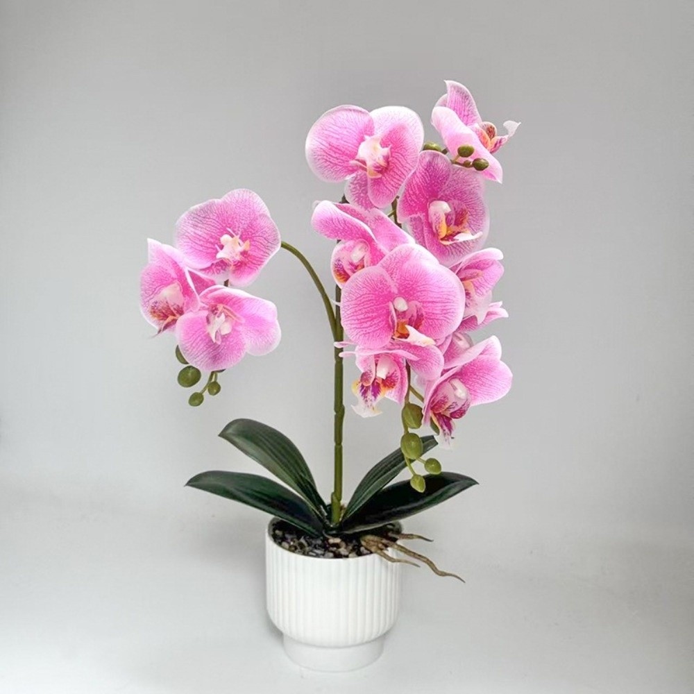 Multi-Bloom Simulated Butterfl - Orchid Phalaenopsis ulasan dan harga