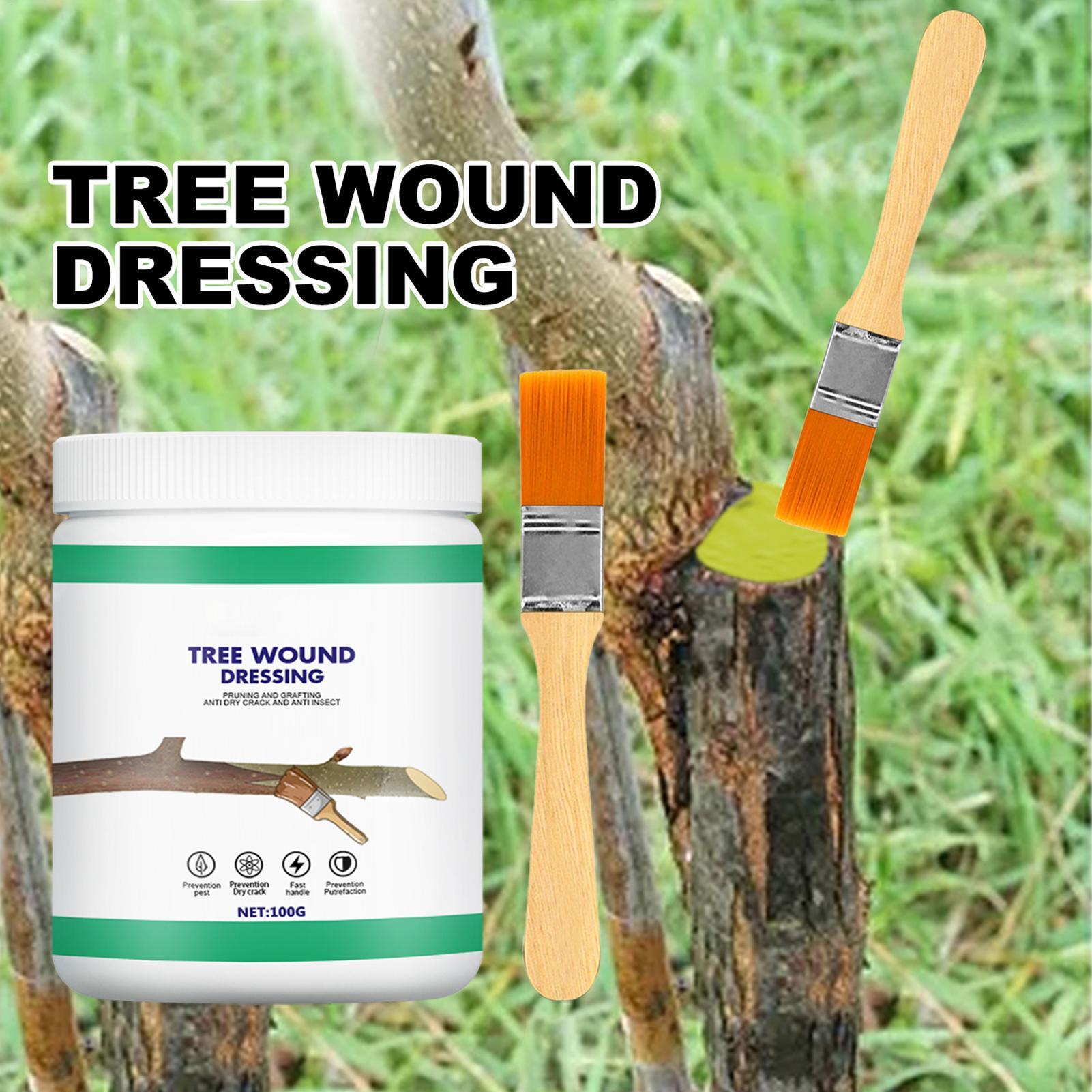 Pruning Sealer 100g Protective - Plant Parenting ulasan dan harga