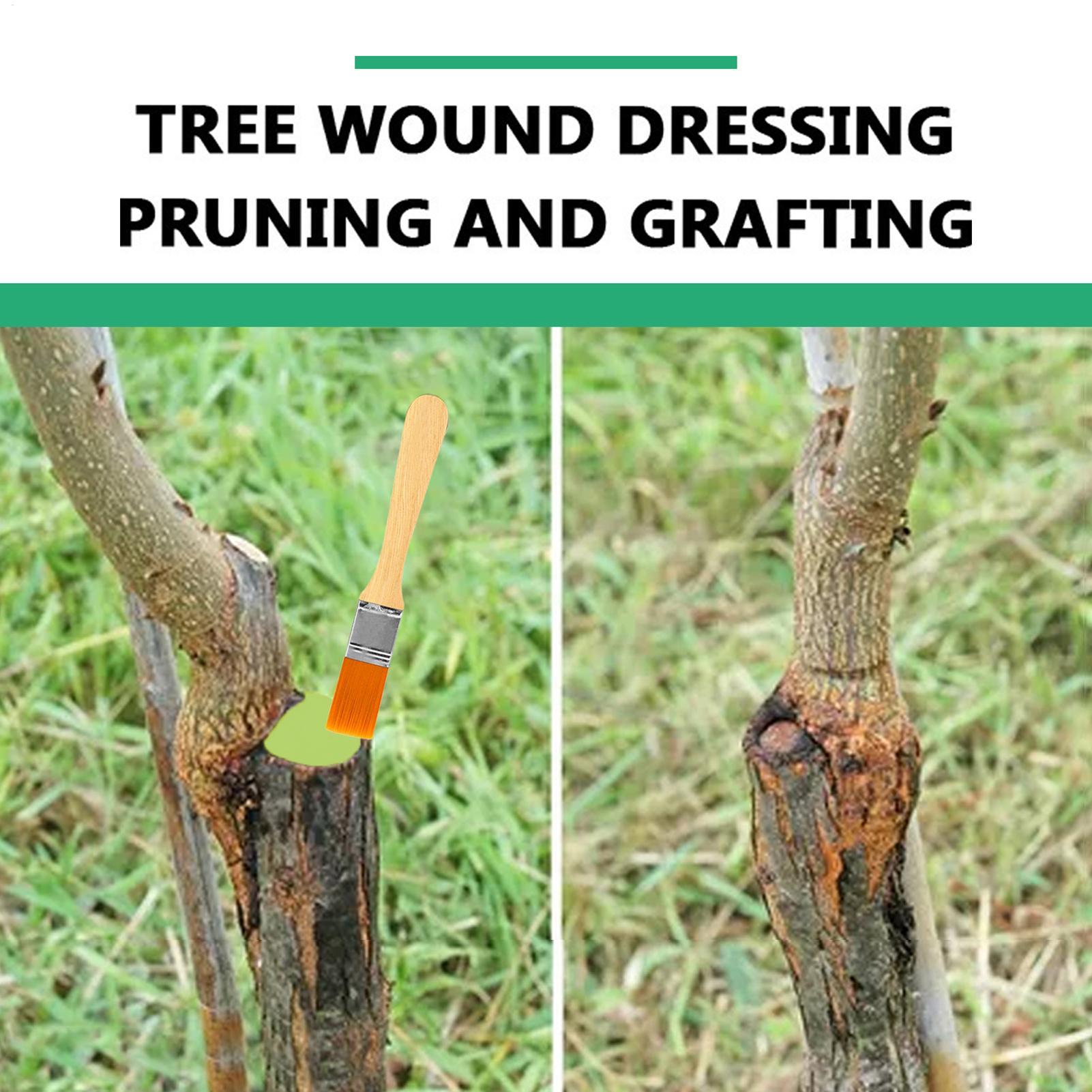 Pruning Sealer 100g Protective - Plant Parenting ulasan dan harga