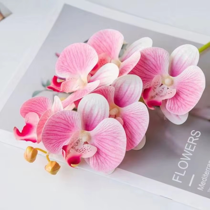 3D Artificial Flowers Plastic  - Orchid Phalaenopsis ulasan dan harga