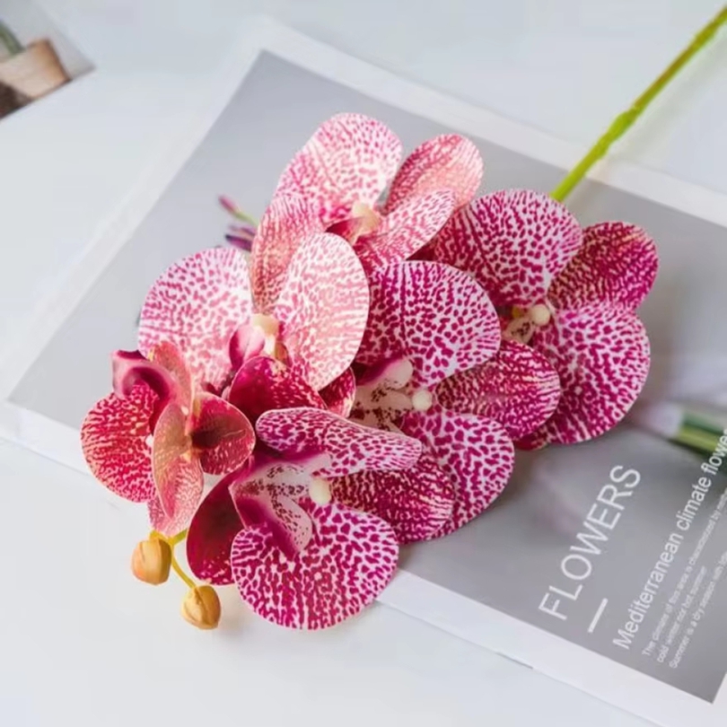 3D Artificial Flowers Plastic  - Orchid Phalaenopsis ulasan dan harga