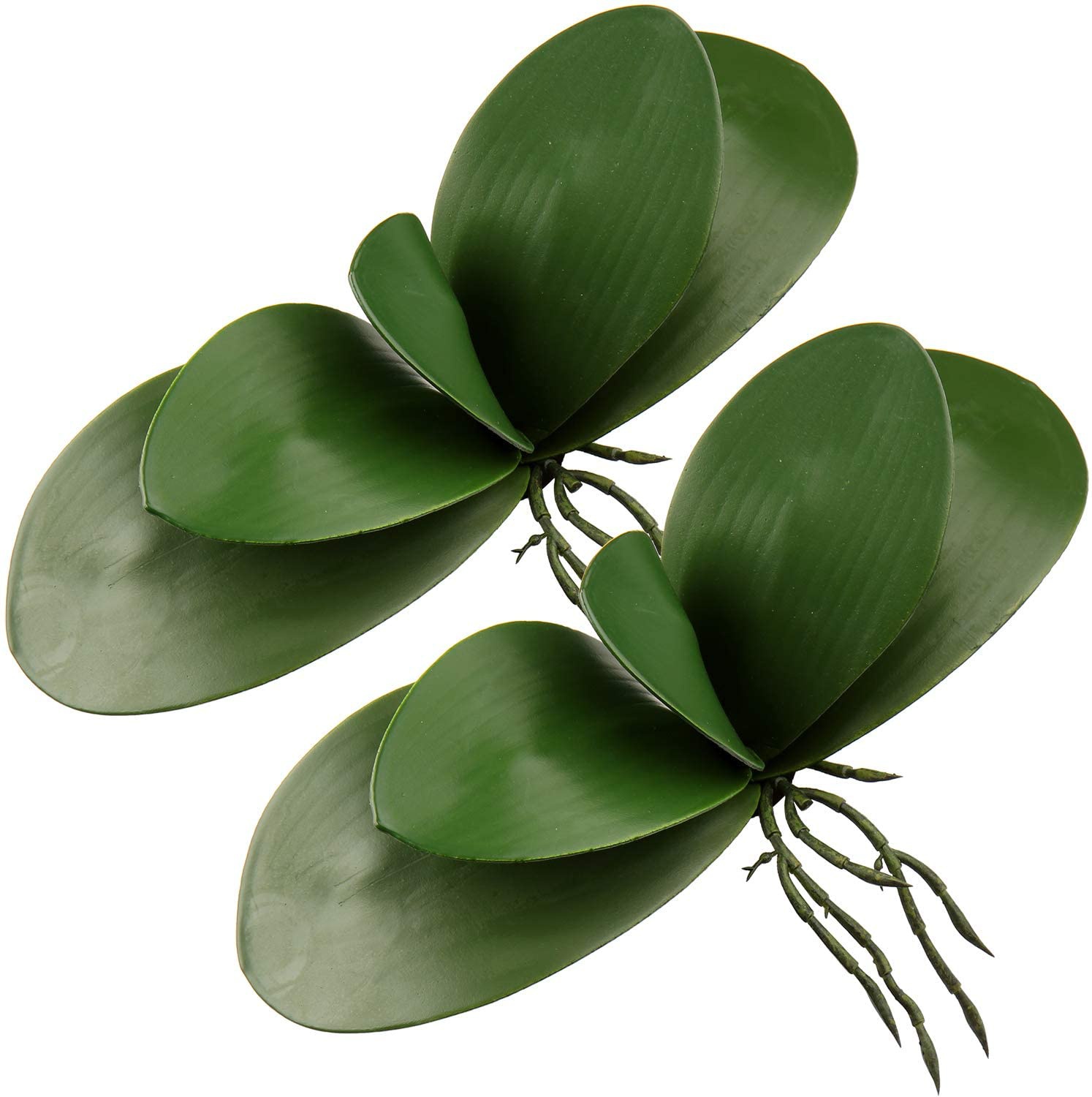 Artificial Phalaenopsis Leaves - Orchid Phalaenopsis ulasan dan harga