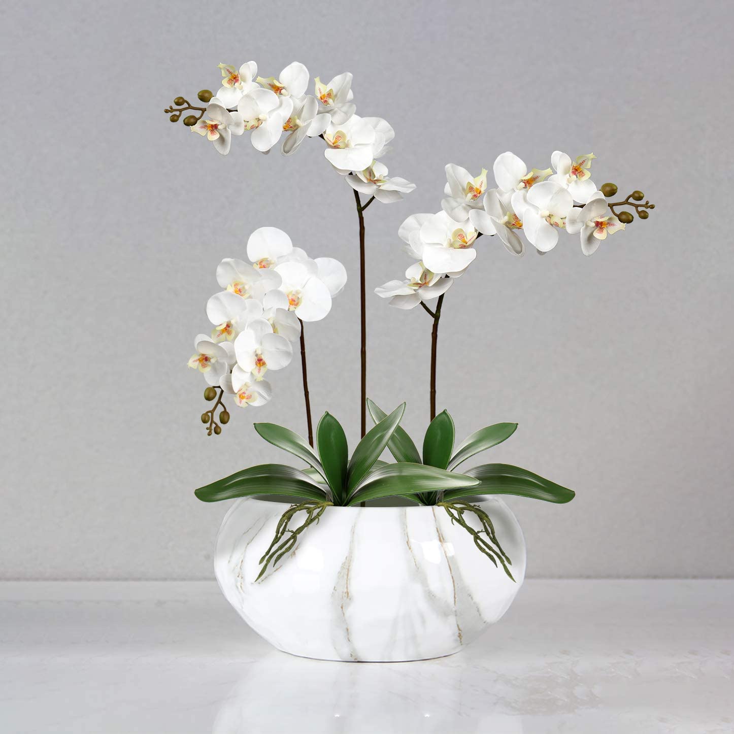 Artificial Phalaenopsis Leaves - Orchid Phalaenopsis ulasan dan harga
