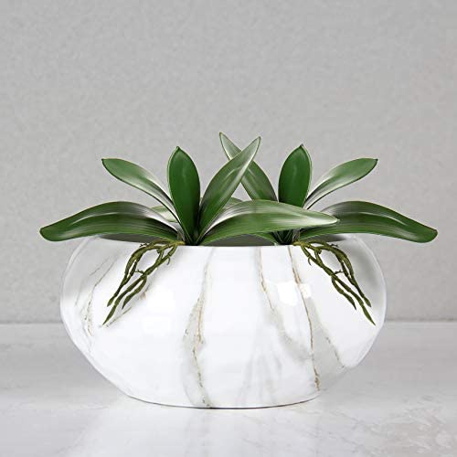 Artificial Phalaenopsis Leaves - Orchid Phalaenopsis ulasan dan harga