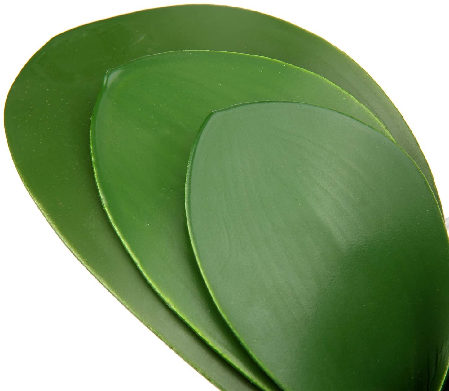 Artificial Phalaenopsis Leaves - Orchid Phalaenopsis ulasan dan harga