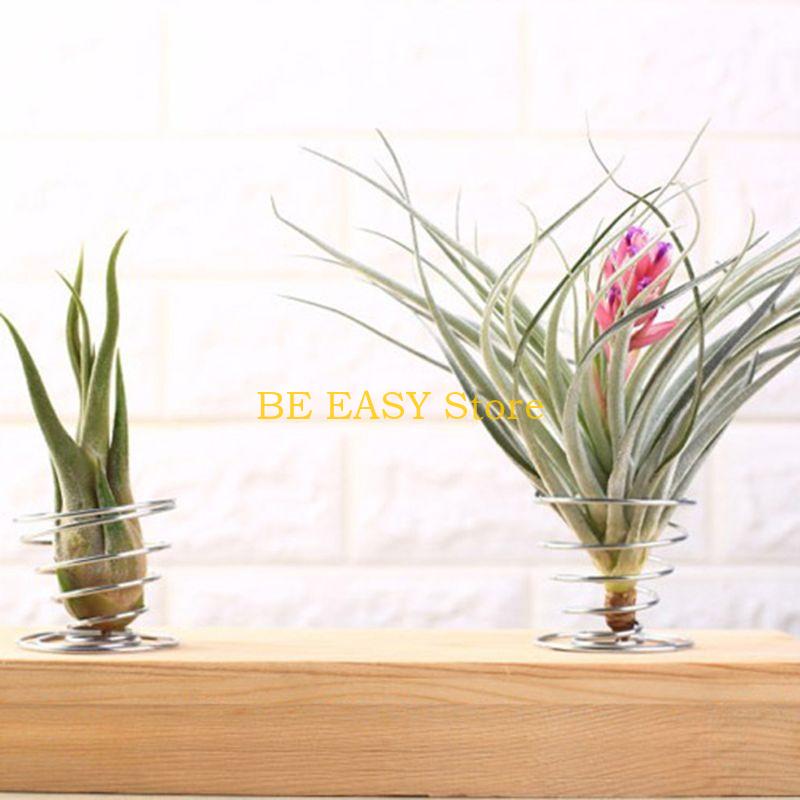 E28F 20 pcs Air Plant Stand Ai - Air Plant Tillandsia ulasan dan harga