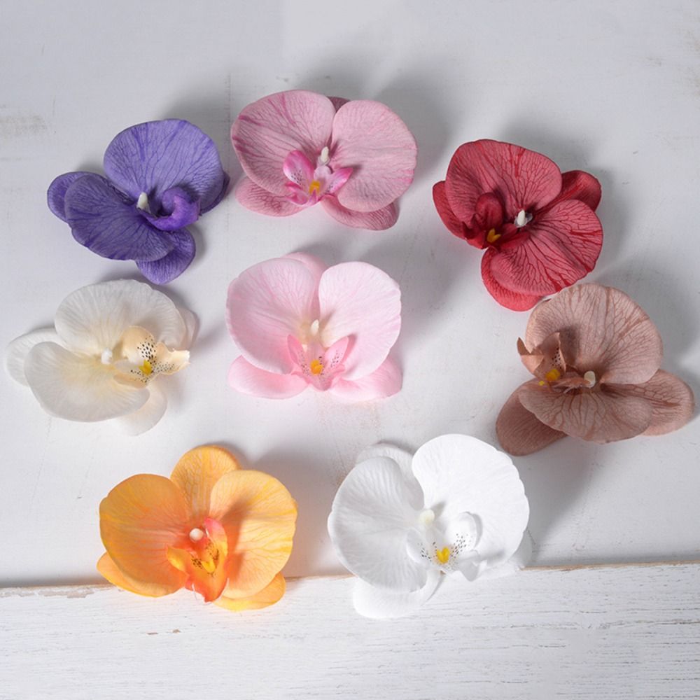 DIY Phalaenopsis Flower Head H - Orchid Phalaenopsis ulasan dan harga