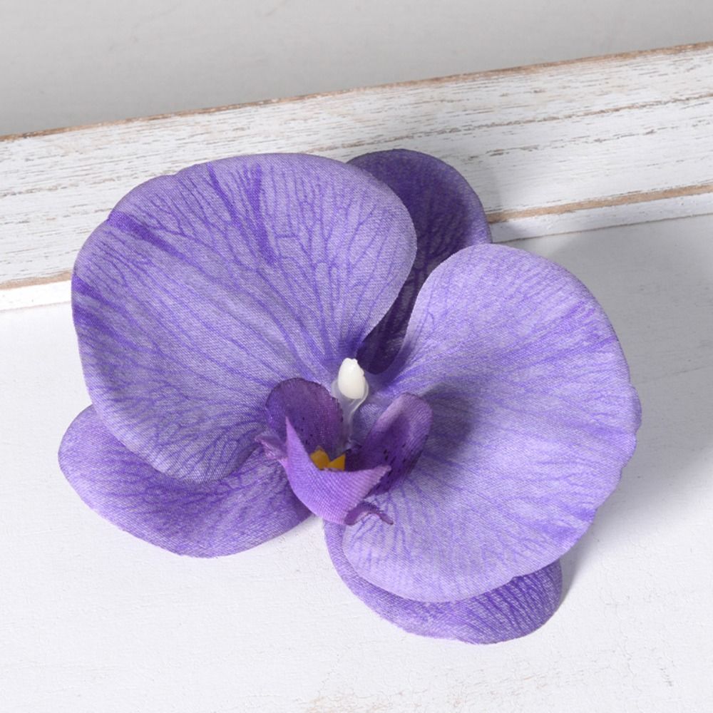 DIY Phalaenopsis Flower Head H - Orchid Phalaenopsis ulasan dan harga