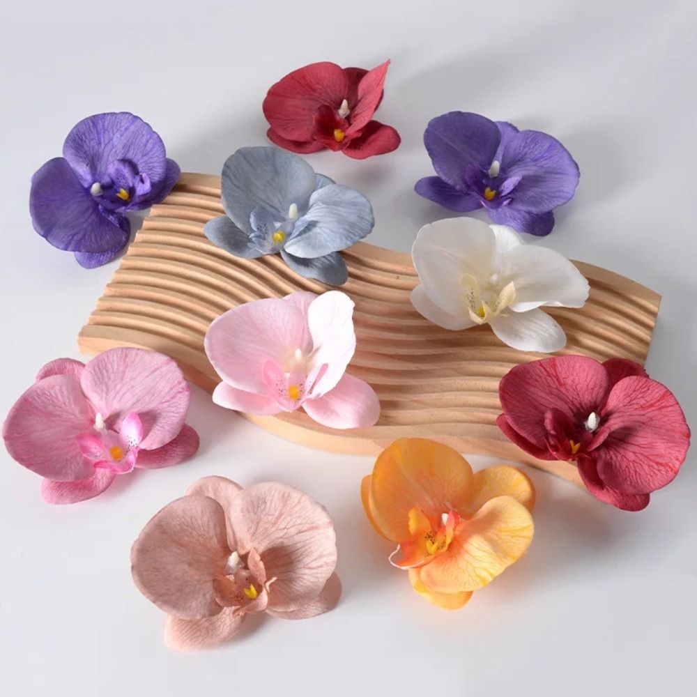 DIY Phalaenopsis Flower Head H - Orchid Phalaenopsis ulasan dan harga