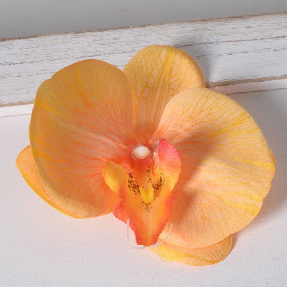 DIY Phalaenopsis Flower Head H - Orchid Phalaenopsis ulasan dan harga