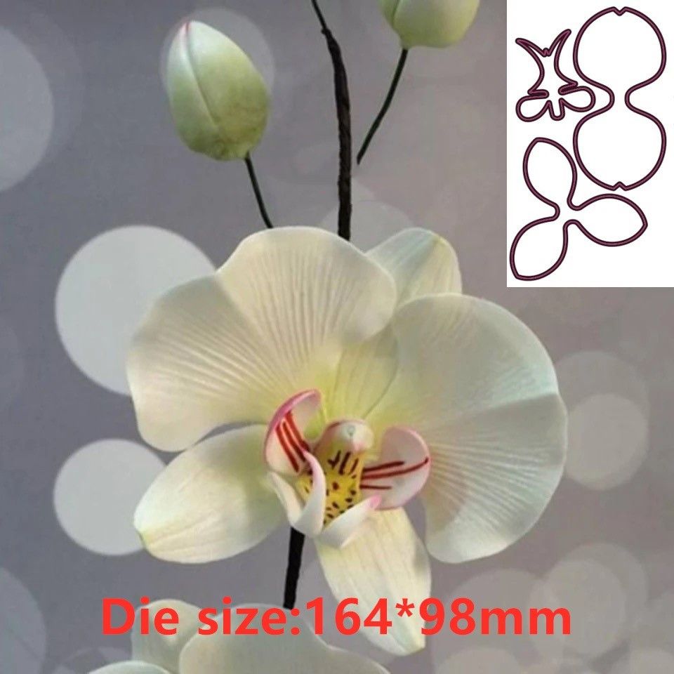 Orchid Flower Metal Cut Dies S - Orchid Phalaenopsis ulasan dan harga