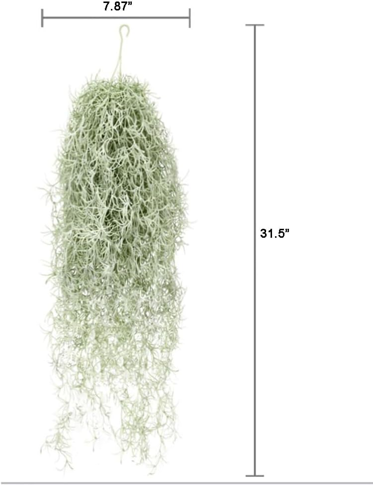 Artificial Flocking Tillandsia - Air Plant Tillandsia ulasan dan harga