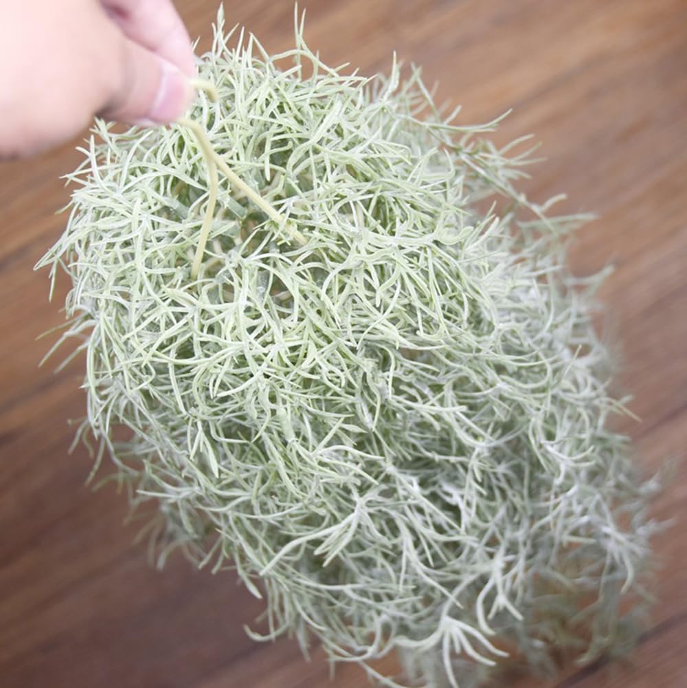Artificial Flocking Tillandsia - Air Plant Tillandsia ulasan dan harga
