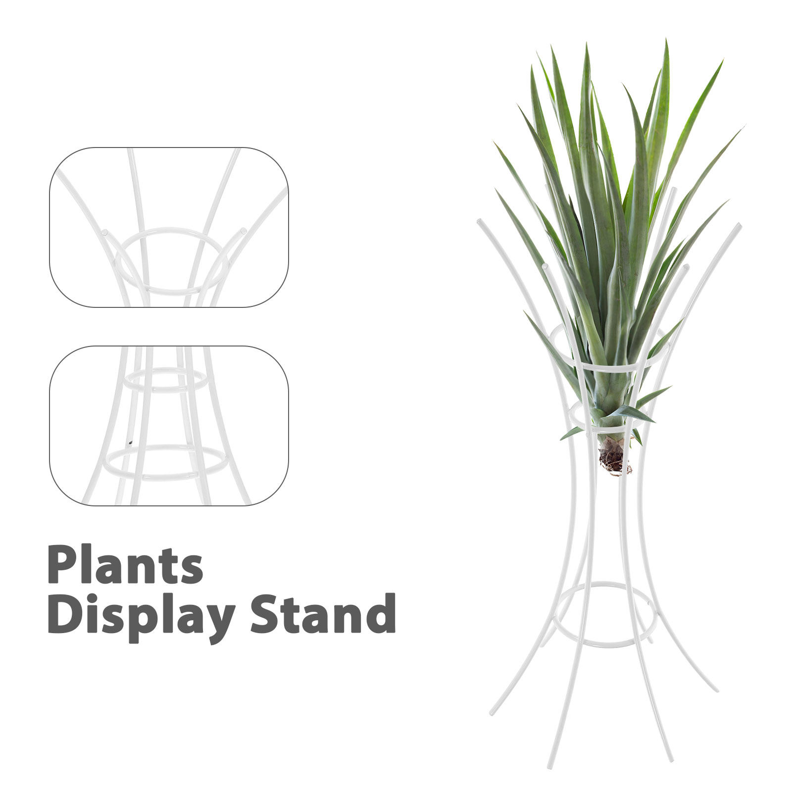 Air Plant Stand Holder Metal D - Air Plant Tillandsia ulasan dan harga