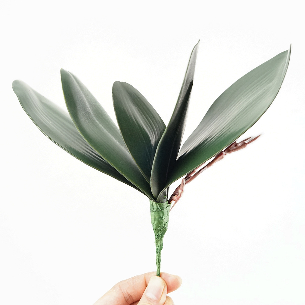 3pc Eva Simulation Phalaenopsi - Orchid Phalaenopsis ulasan dan harga