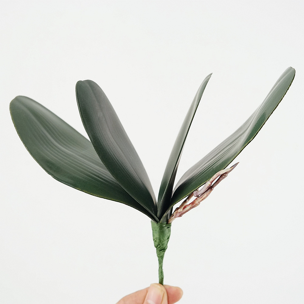 3pc Eva Simulation Phalaenopsi - Orchid Phalaenopsis ulasan dan harga