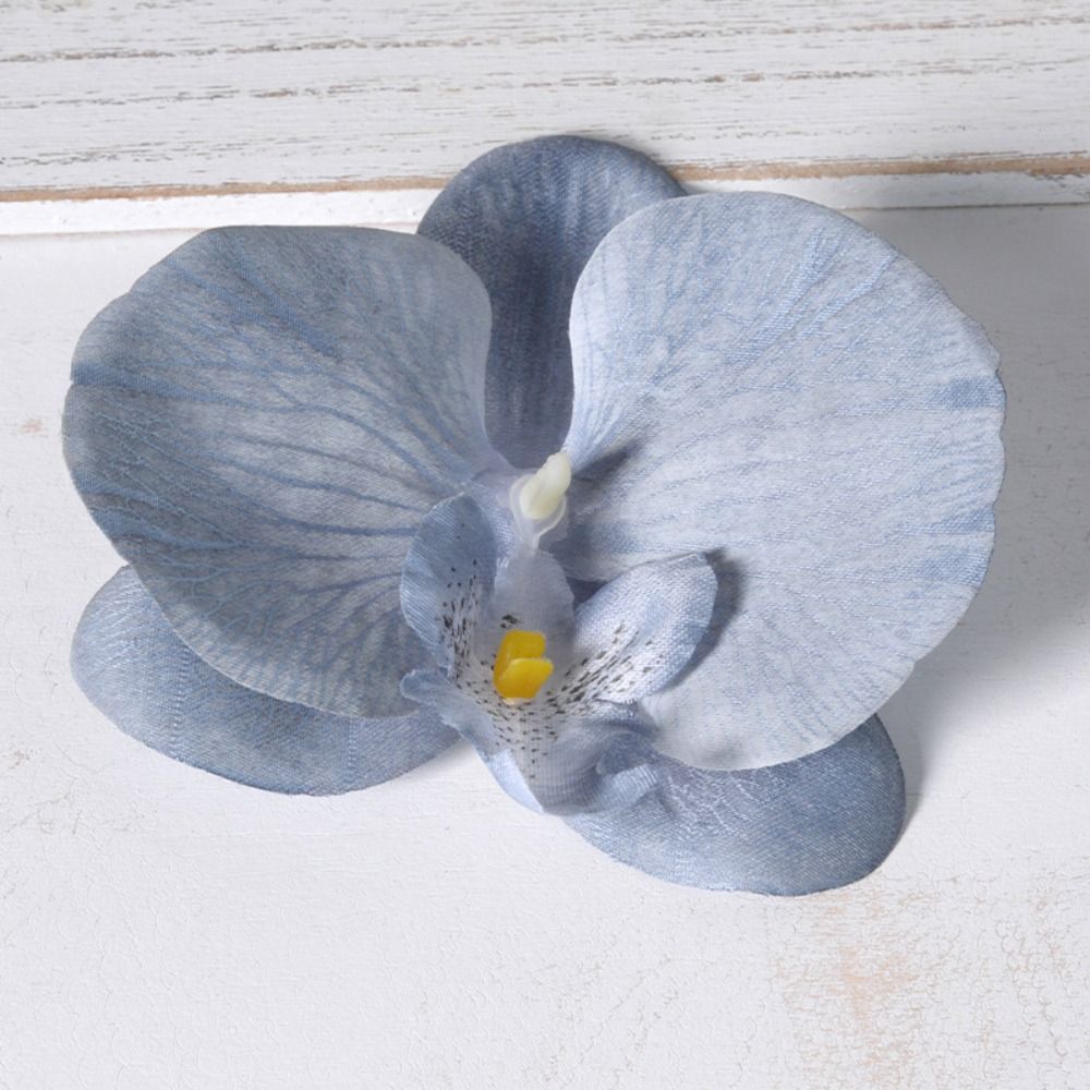 DIY Phalaenopsis Flower Head 1 - Orchid Phalaenopsis ulasan dan harga