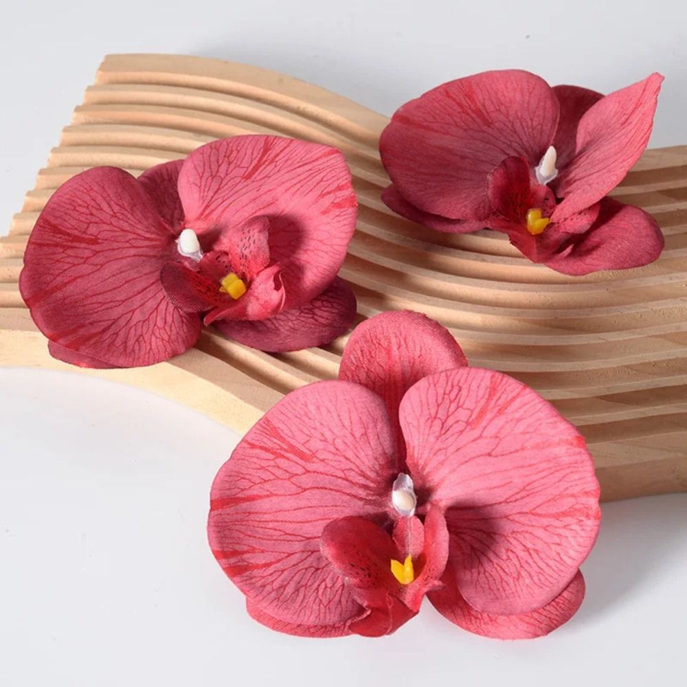 DIY Phalaenopsis Flower Head 1 - Orchid Phalaenopsis ulasan dan harga