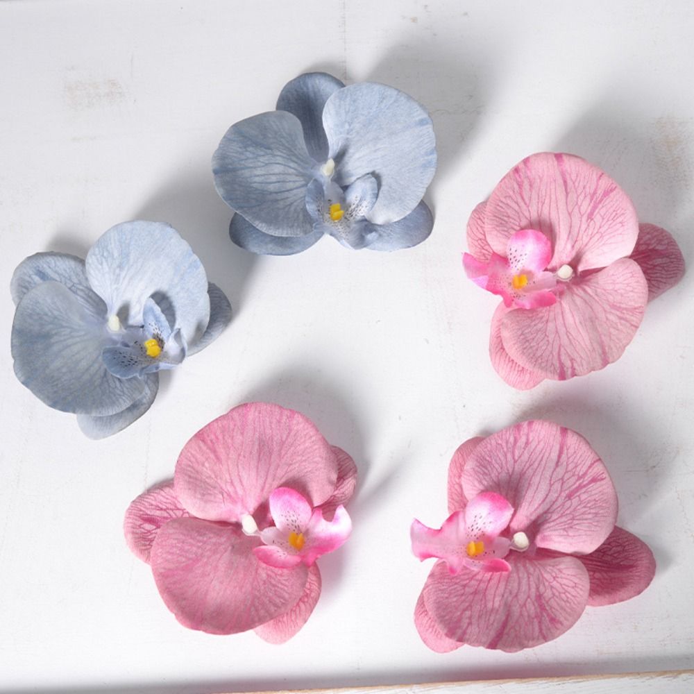 DIY Phalaenopsis Flower Head 1 - Orchid Phalaenopsis ulasan dan harga