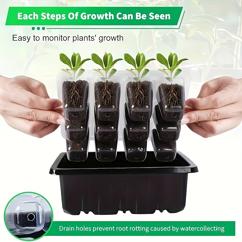 1/2/3-Pack 12/24/36-Cell Seed  - Plant Parenting ulasan dan harga