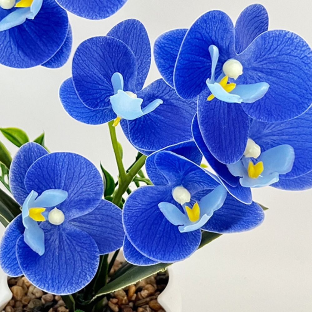 Multi-Bloom Simulated Butterfl - Orchid Phalaenopsis ulasan dan harga