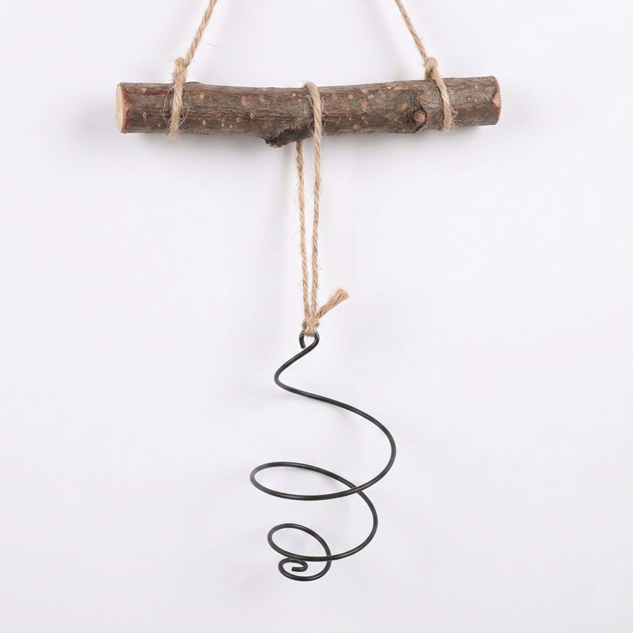 Air Plant Holder Hanging Displ - Air Plant Tillandsia ulasan dan harga