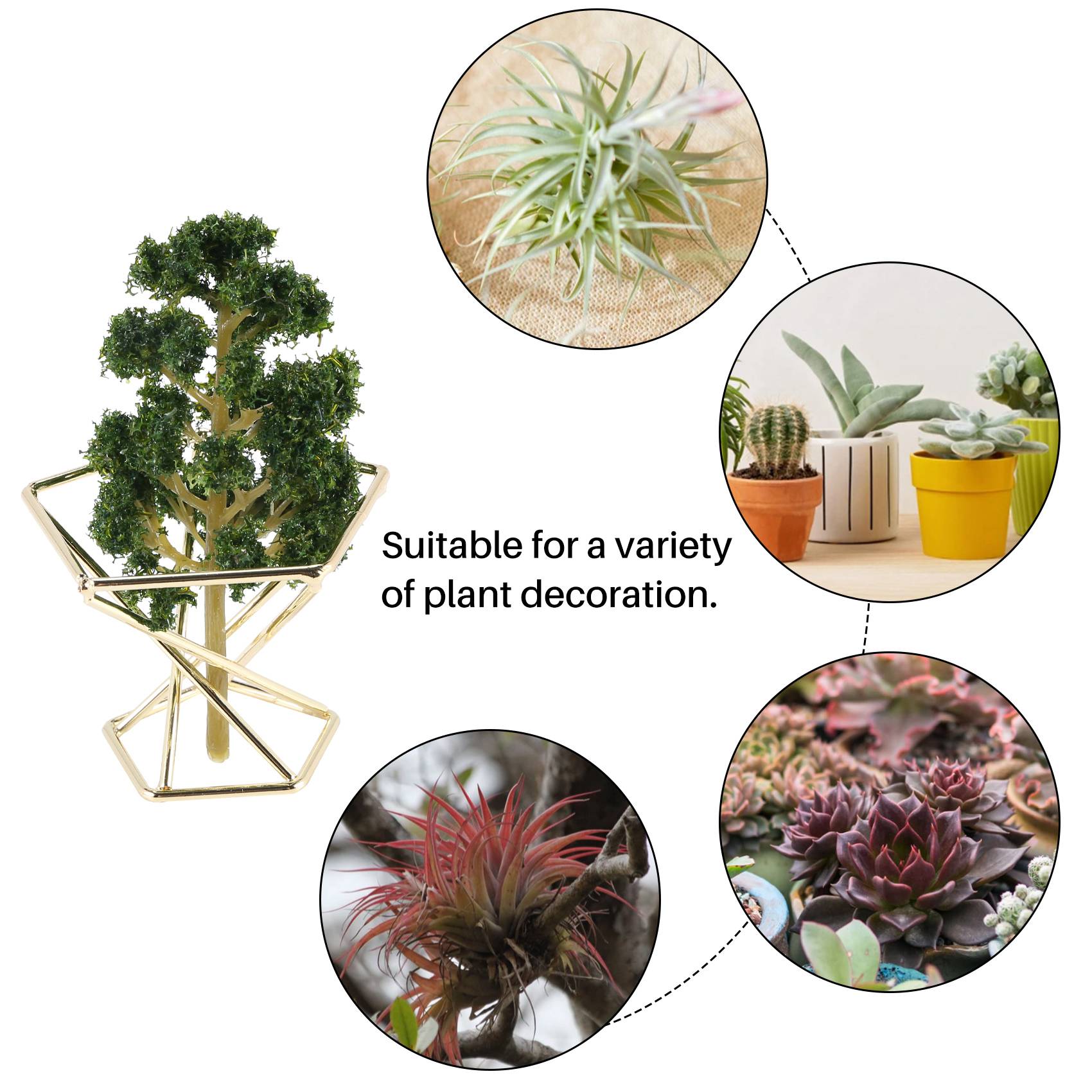 HOT-Geometric Air Plant Holder - Air Plant Tillandsia ulasan dan harga