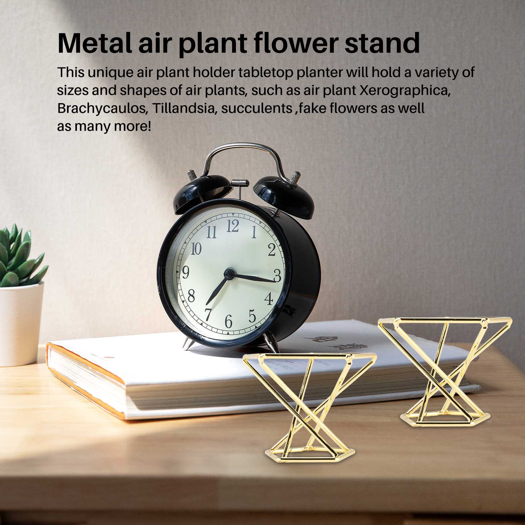HOT-Geometric Air Plant Holder - Air Plant Tillandsia ulasan dan harga