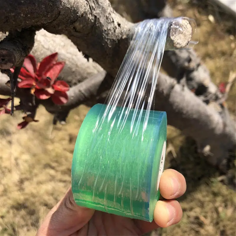 Plant Grafting Specific Film E - Plant Parenting ulasan dan harga