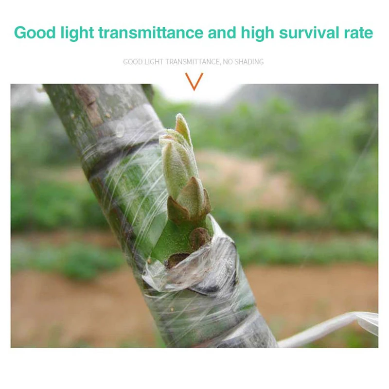 Plant Grafting Specific Film E - Plant Parenting ulasan dan harga