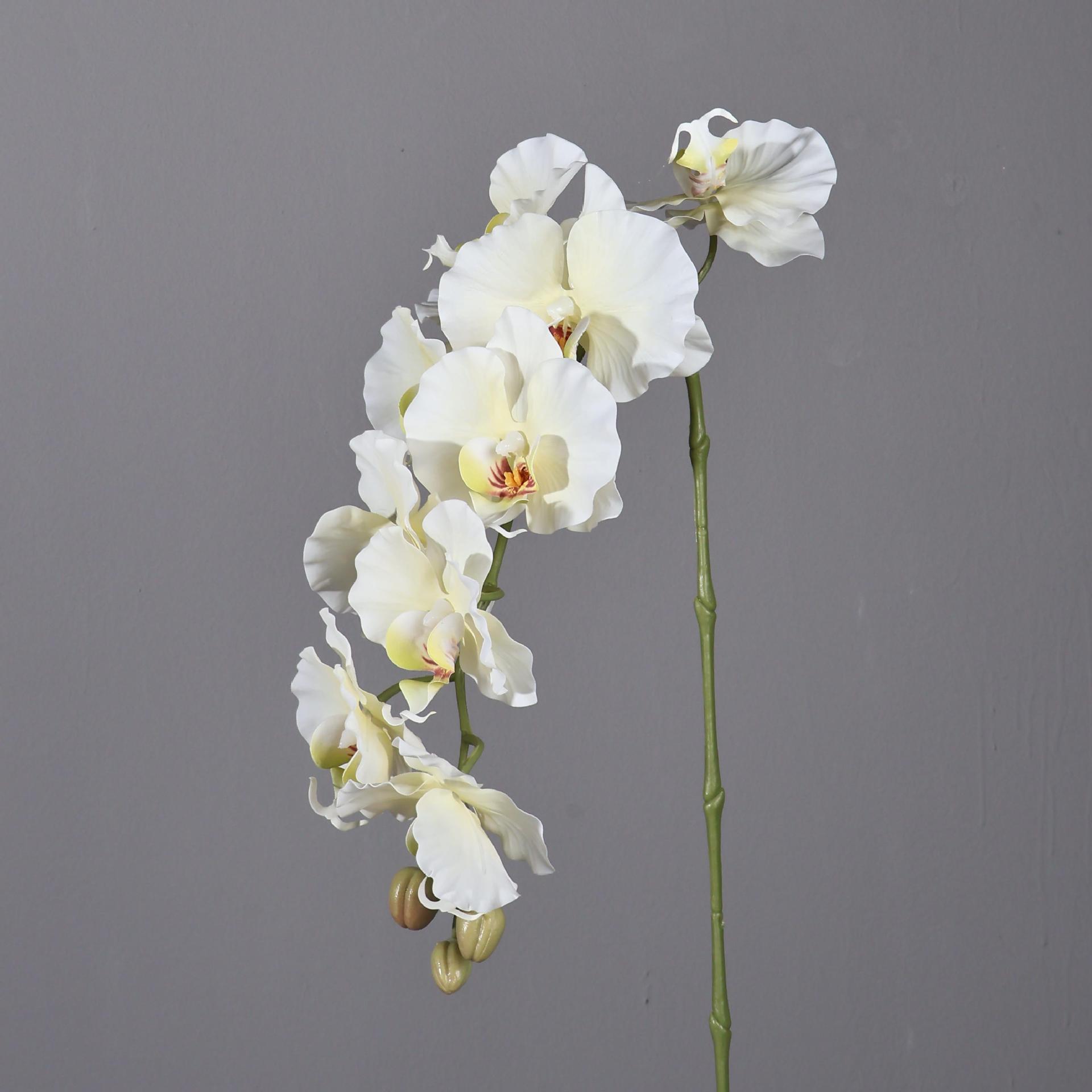 38.6 Inch 9 Heads Korean Style - Orchid Phalaenopsis ulasan dan harga