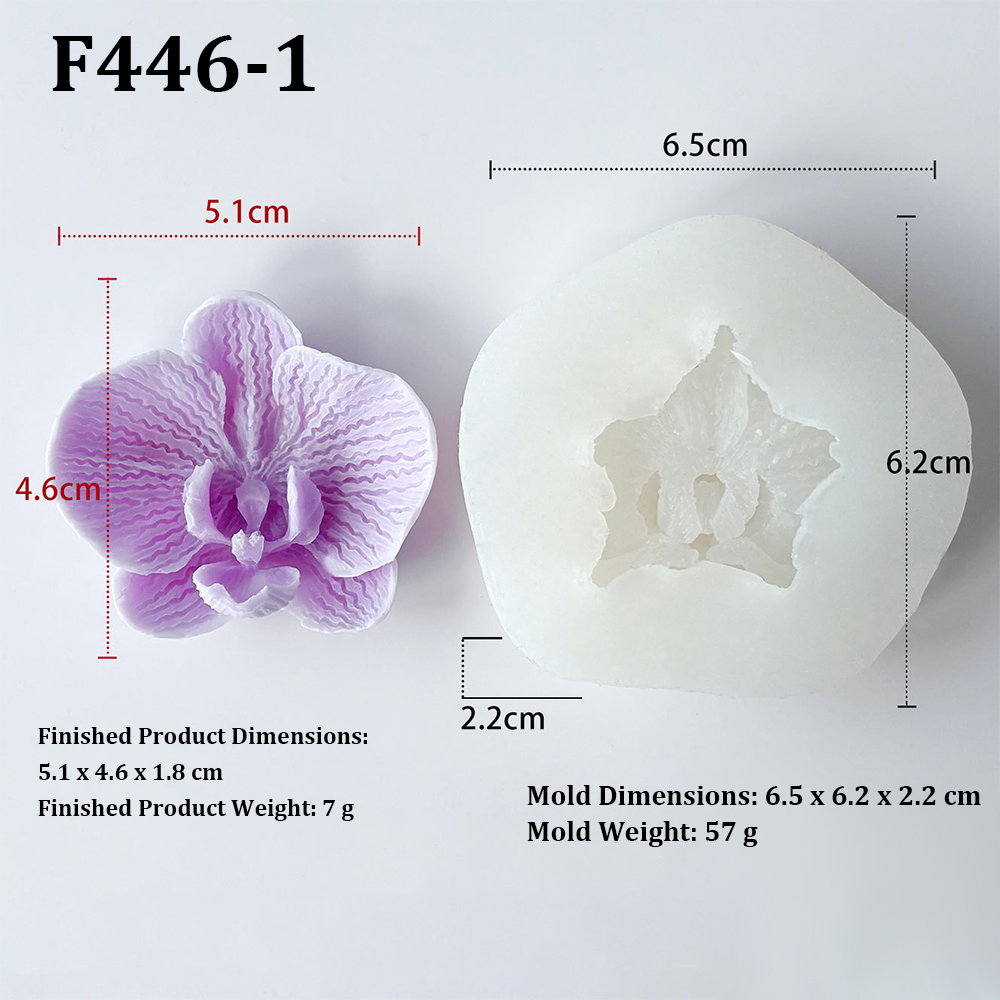 Phalaenopsis Orchid Flower-Sha - Orchid Phalaenopsis ulasan dan harga