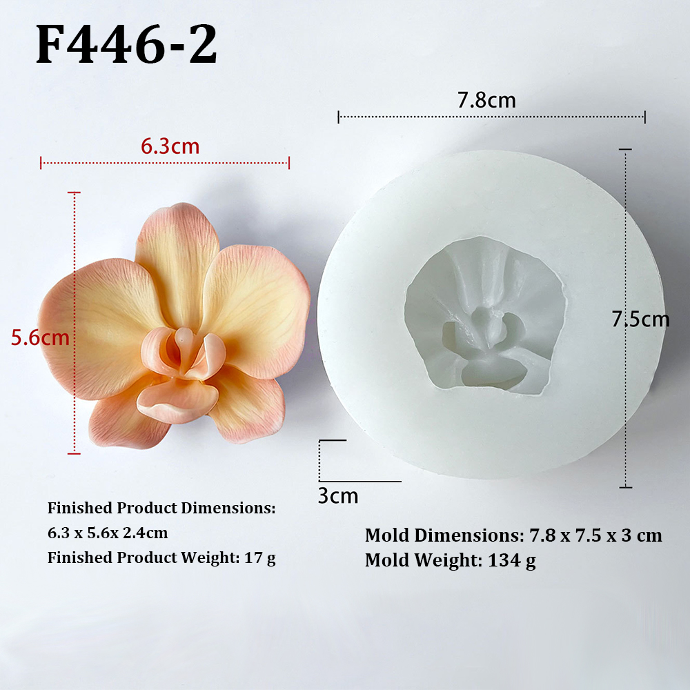 Phalaenopsis Orchid Flower-Sha - Orchid Phalaenopsis ulasan dan harga