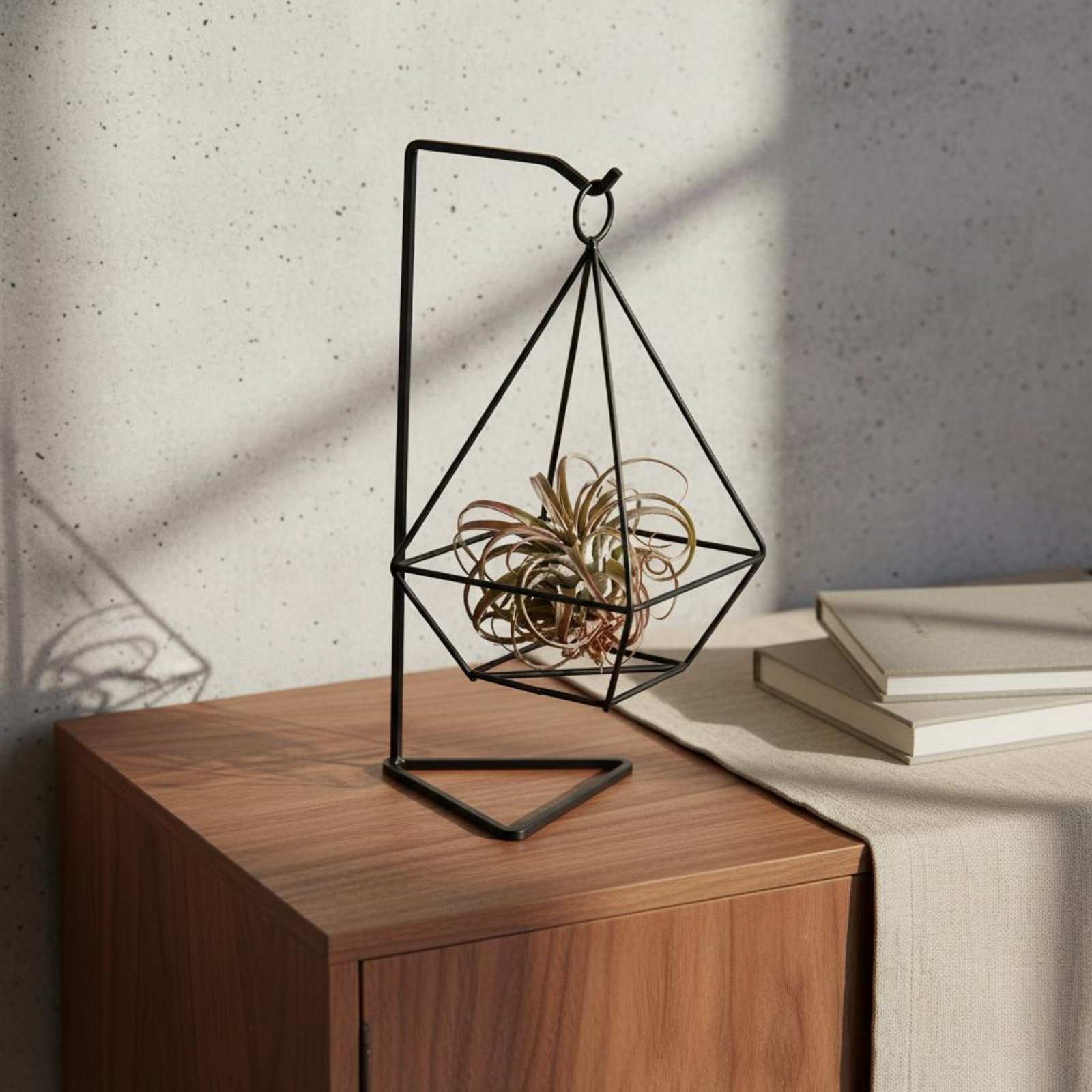 Geometric Air Plant Holder Min - Air Plant Tillandsia ulasan dan harga