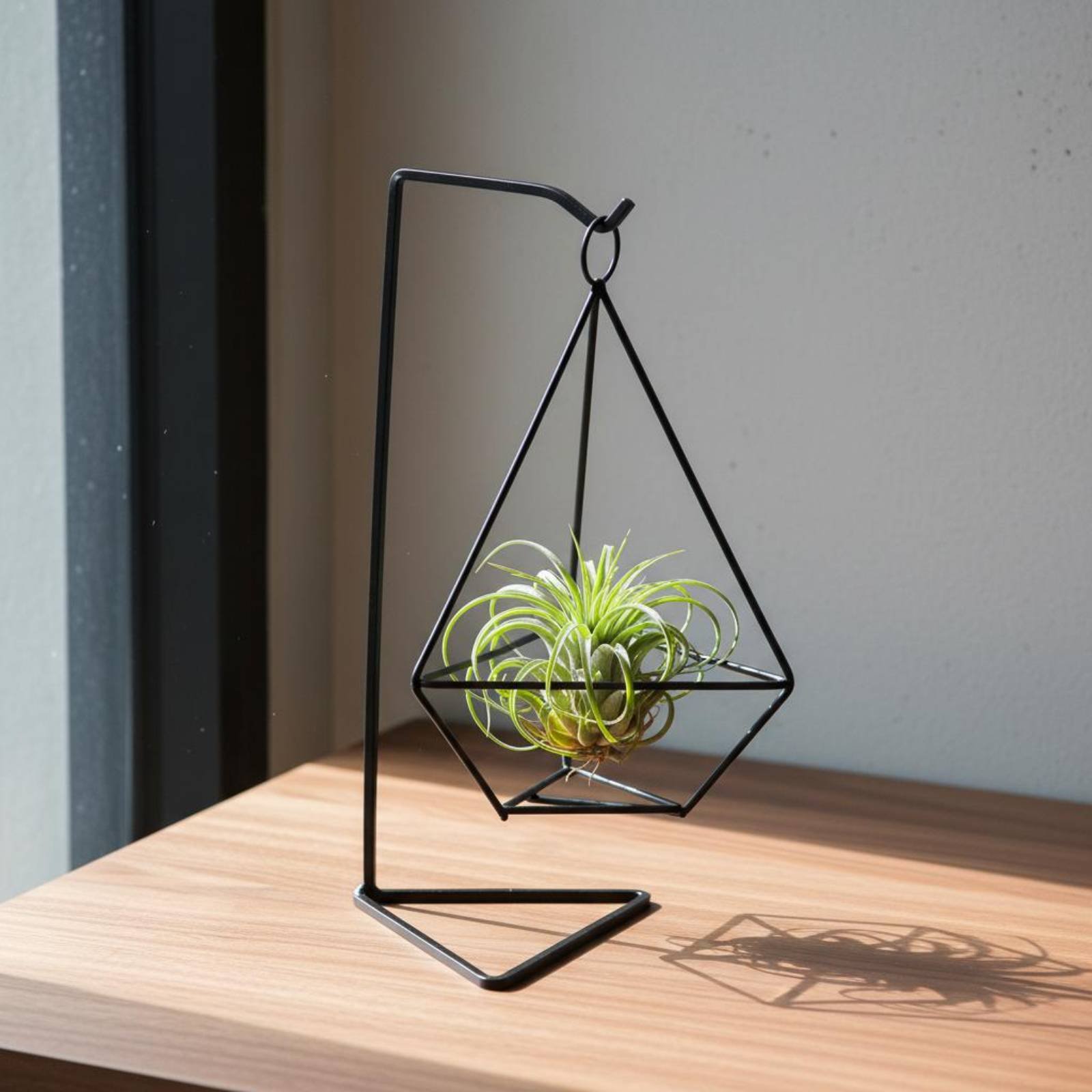 Geometric Air Plant Holder Min - Air Plant Tillandsia ulasan dan harga