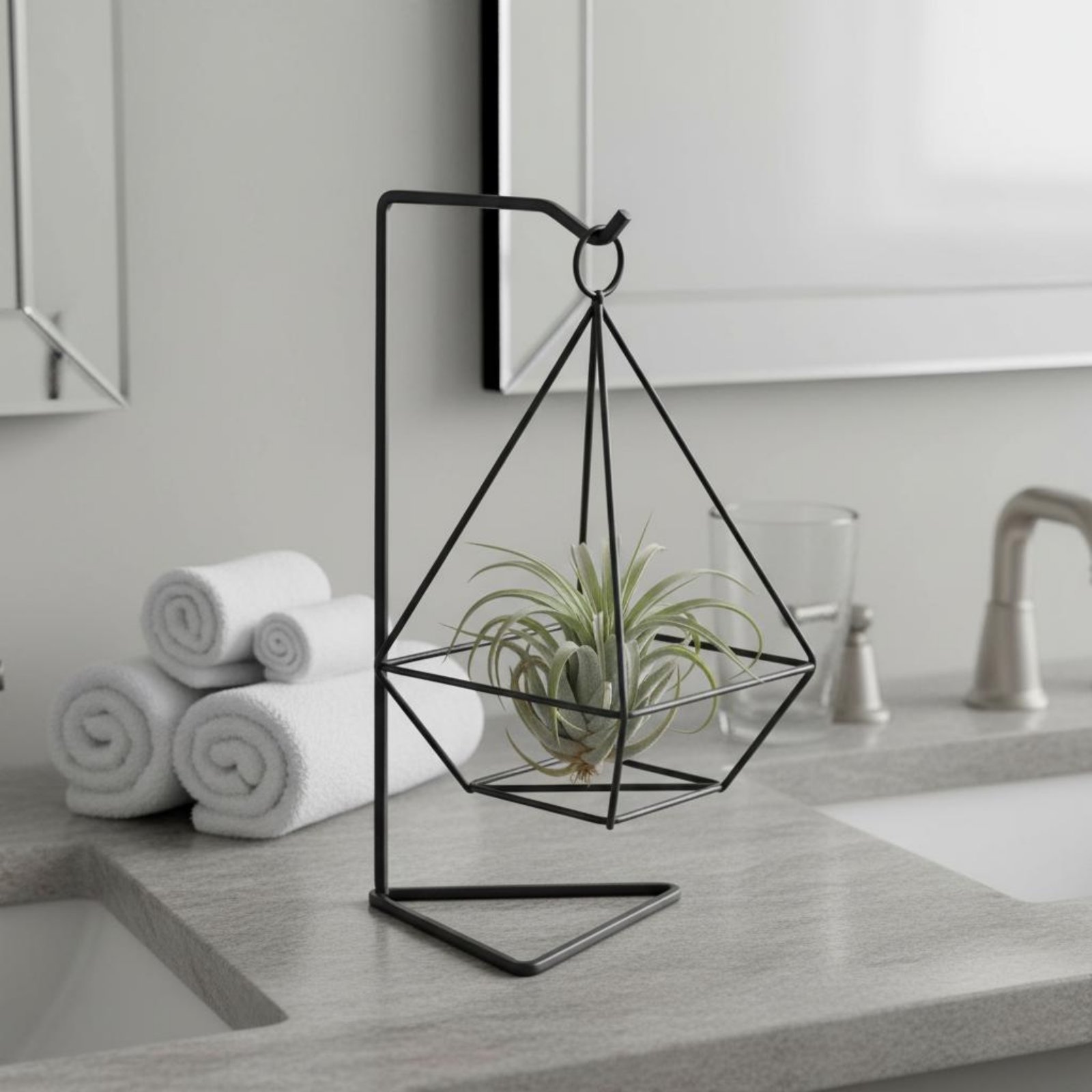 Geometric Air Plant Holder Min - Air Plant Tillandsia ulasan dan harga