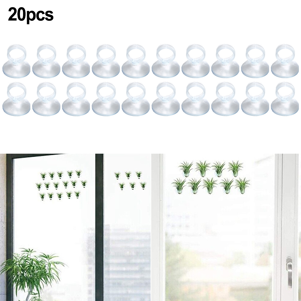 20 Pcs Air Plant Mounting Hold - Air Plant Tillandsia ulasan dan harga