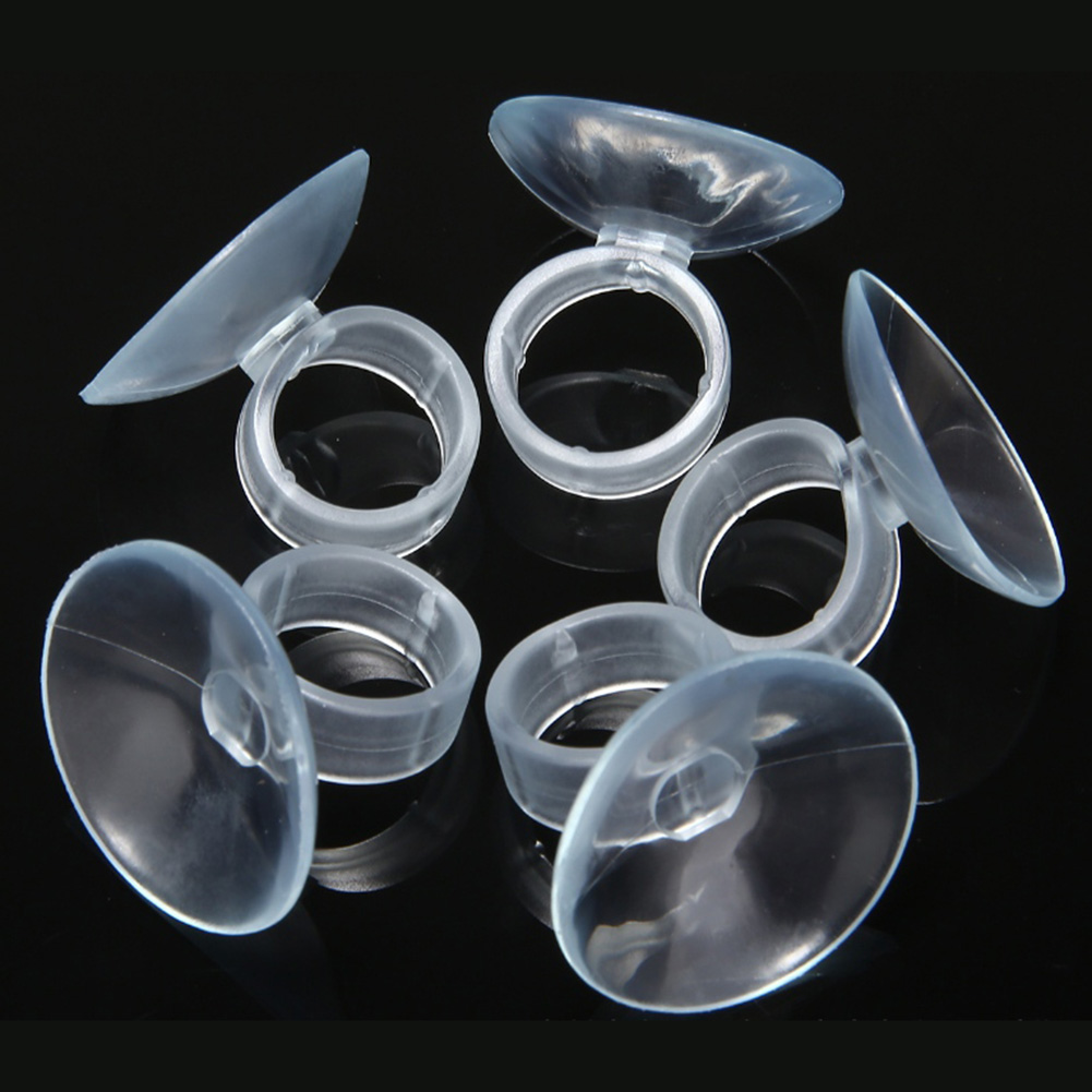 20 Pcs Air Plant Mounting Hold - Air Plant Tillandsia ulasan dan harga