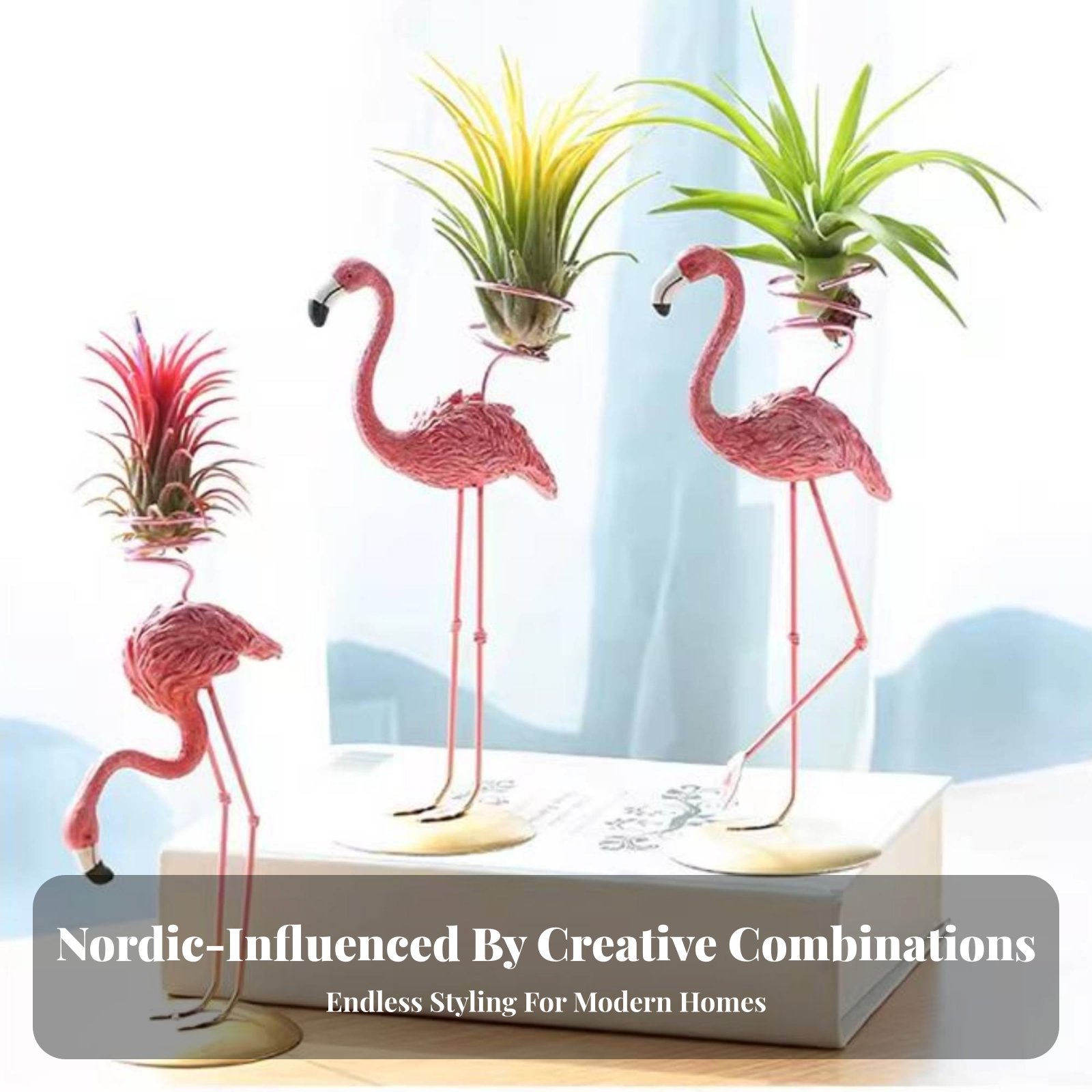 Geometric Tillandsia Holder No - Air Plant Tillandsia ulasan dan harga